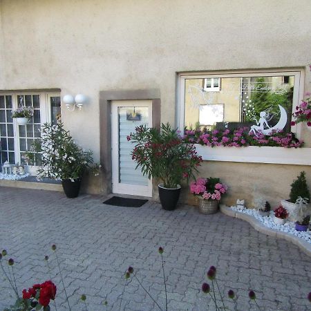 La Belle Endormie - Appartement A Fenetrange Bagian luar foto