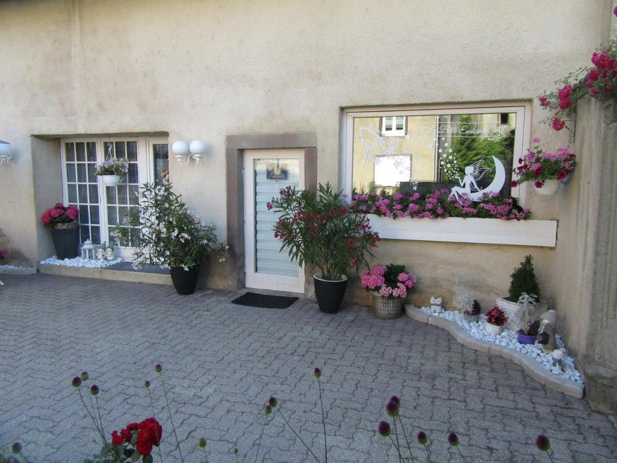La Belle Endormie - Appartement A Fenetrange Bagian luar foto